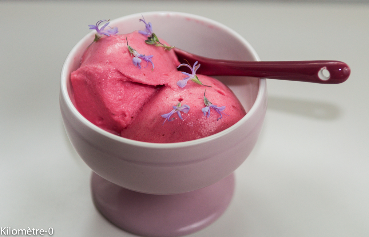 image de recette de sorbet à la groseille, fruits rouges, facile, healthy, rapide, sain, glace, été, de Kilomètre-0