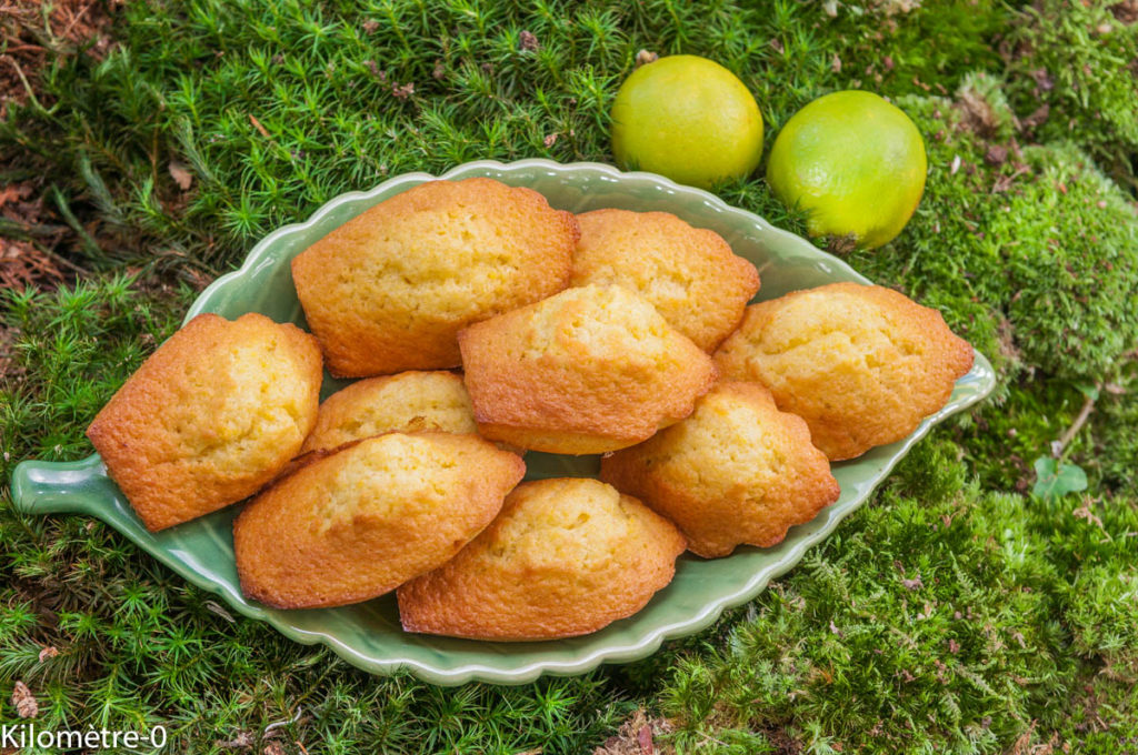 image de recette facile, rapide, économique, légère, bio, madeleines, gâteaiux, petits gâteaux, biscuits, goûter, citron, citron vert,  de Kilomètre-0, madeleines au citron, petit déjeuner, goûter, dessert, biscuits