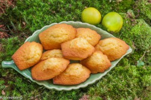 image de recette facile, rapide, économique, légère, bio, madeleines, gâteaiux, petits gâteaux, biscuits, goûter, citron, citron vert,  de Kilomètre-0, madeleines au citron, petit déjeuner, goûter, dessert, biscuits