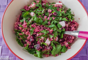 Photo de recette de salade de quinoa, betterave et fêta de Kilomètre-0, blog de cuisine réalisée à partir de produits locaux et issus de circuits courts