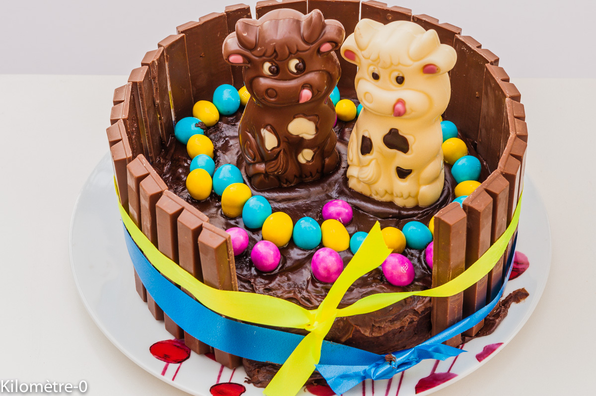 Photo de recette acile, rapide, légère,  de gâteau anniversaire enfant de Kilomètre-0, blog de cuisine réalisée à partir de produits locaux et issus de circuits courts
