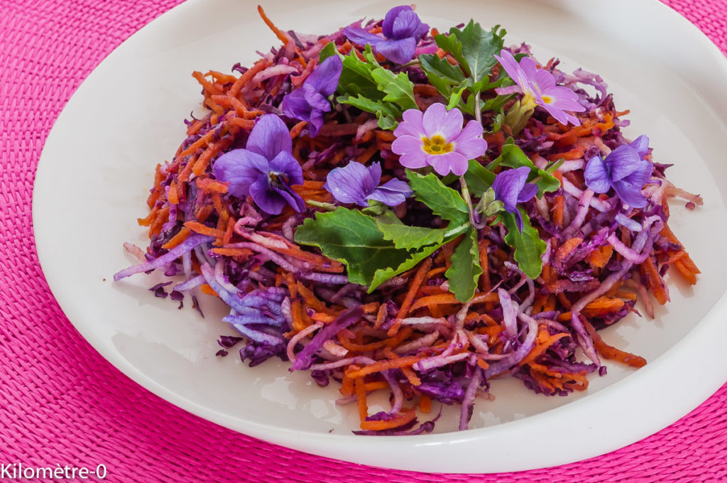 Photo de recette légère, facile, rapide, bio,  de salade radis noir, carotte et chou rouge de  Kilomètre-0, blog de cuisine réalisée à partir de produits locaux et issus de circuits courts