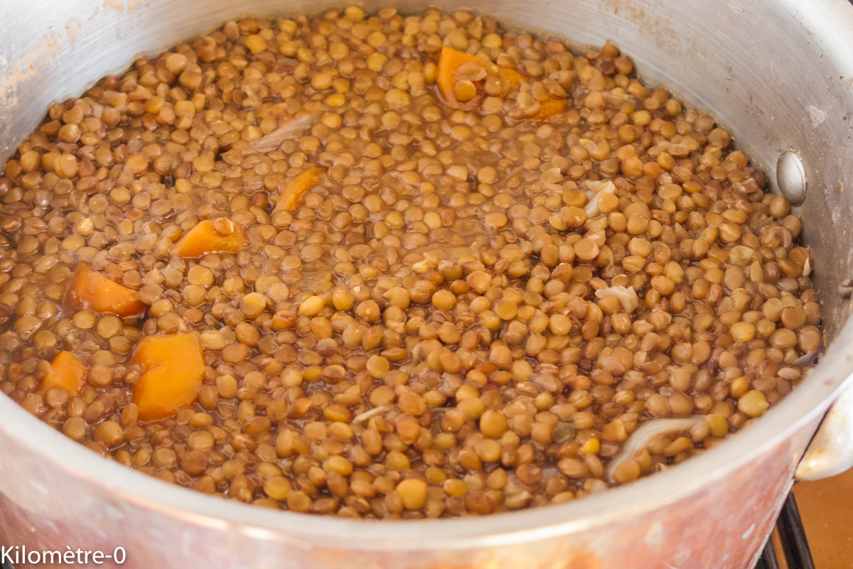 Photo de recette de lentilles, facile, rapide, léger, bio de Kilomètre-0, blog de cuisine réalisée à partir de produits locaux et issus de circuits courts
