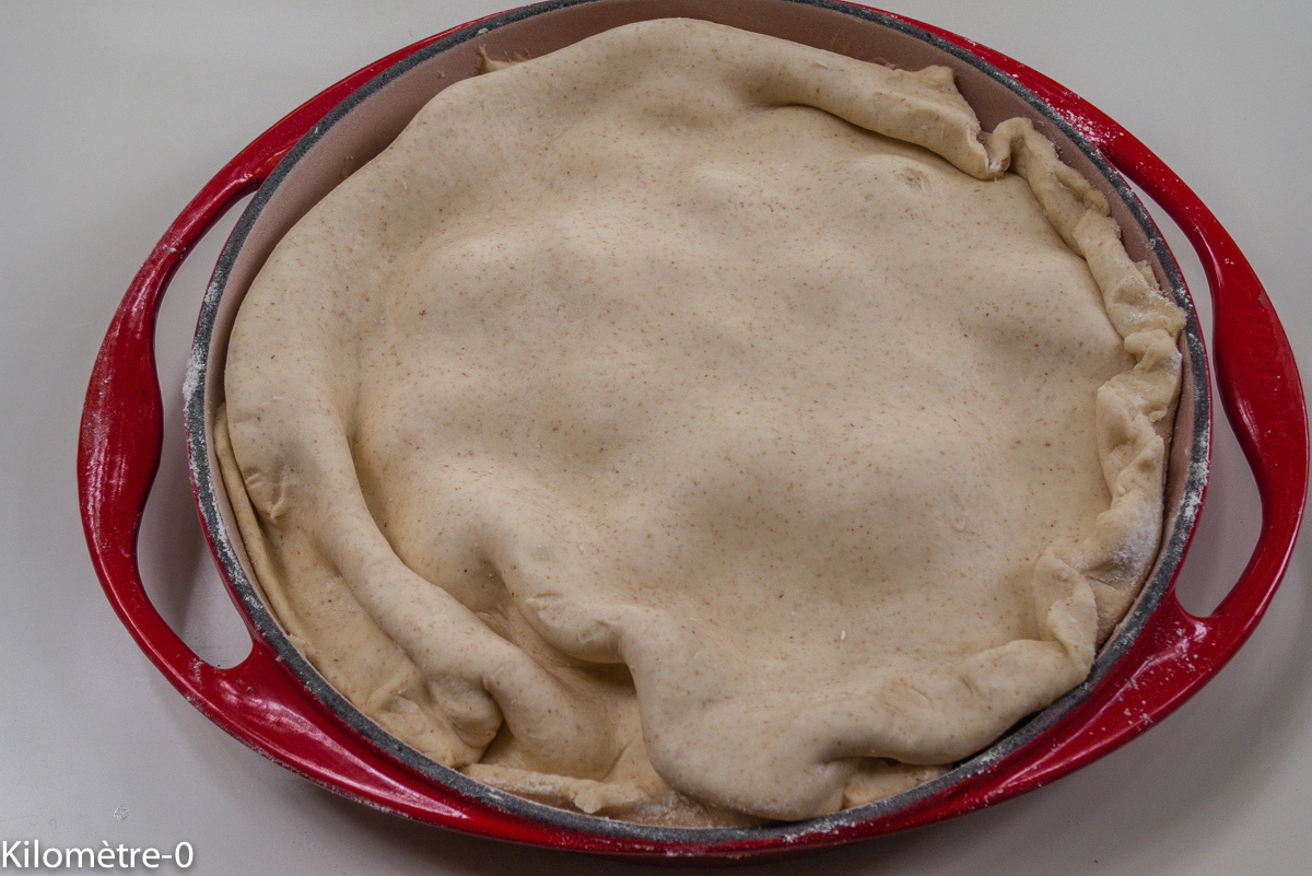 Photo de recette de tatin facile, rapide, légère, économique, bio de de prunes de Kilomètre-0, blog de cuisine réalisée à partir de produits locaux et issus de circuits courts