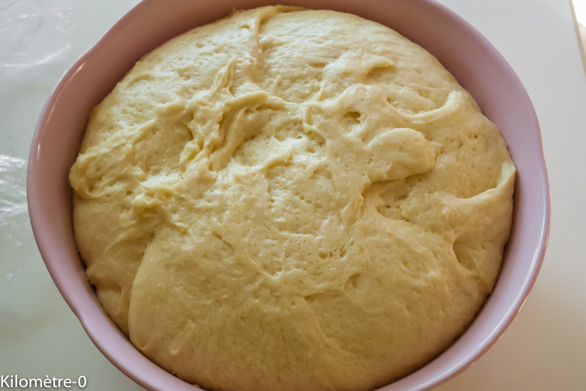 Photo de recette de brioche aux raisins facile, légère et bio de Kilomètre-0, blog de cuisine réalisée à partir de produits locaux et issus de circuits courts