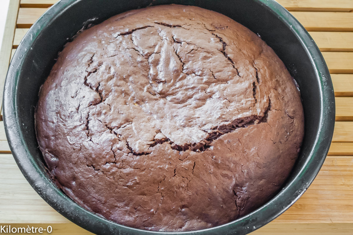 Photo de recette de gâteau anniversaire, poisson, enfant, facile, beau , rapide deKilomètre-0, blog de cuisine réalisée à partir de produits locaux et issus de circuits courts
