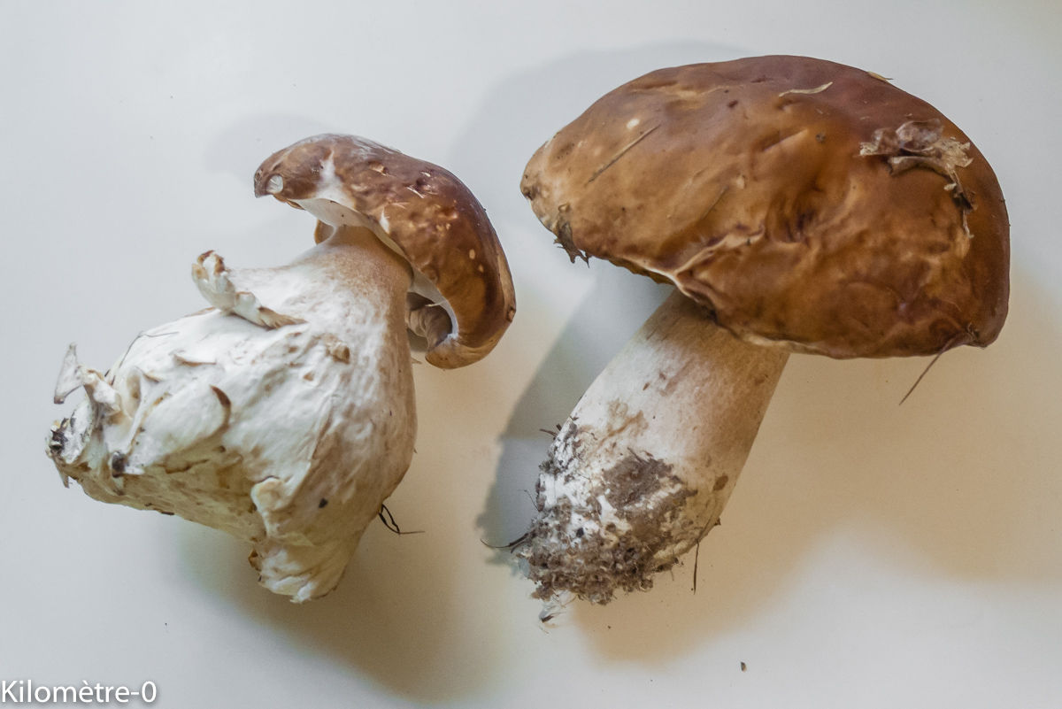 Photo de recette de cèpes, facile, rapide, léger, bio de Kilomètre-0, blog de cuisine réalisée à partir de produits locaux et issus de circuits courts