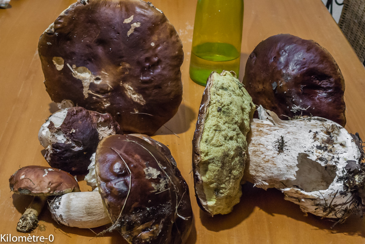 Photo de recette de cèpes, champignons, facile, rapide, léger, Kilomètre-0, blog de cuisine réalisée à partir de produits locaux et issus de circuits courts