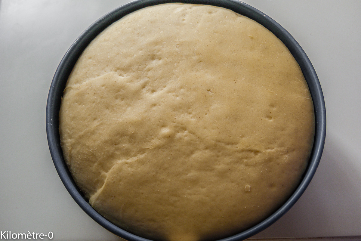 Photo de recette de brioche, babka, facile, rapide, chocolat, bio, léger, américaine, Kilomètre-0, blog de cuisine réalisée à partir de produits locaux et issus de circuits courts