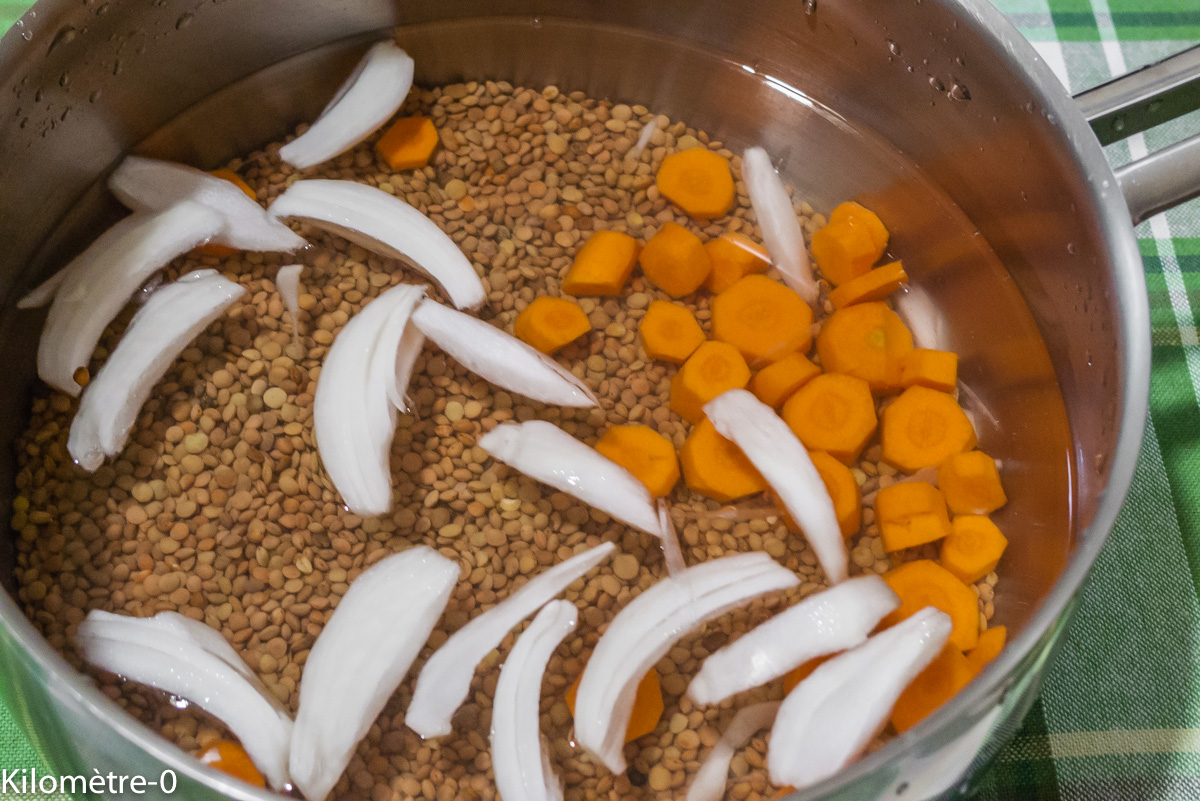 Photo de recette de lentilles, facile, rapide, léger, bio de Kilomètre-0, blog de cuisine réalisée à partir de produits locaux et issus de circuits courts