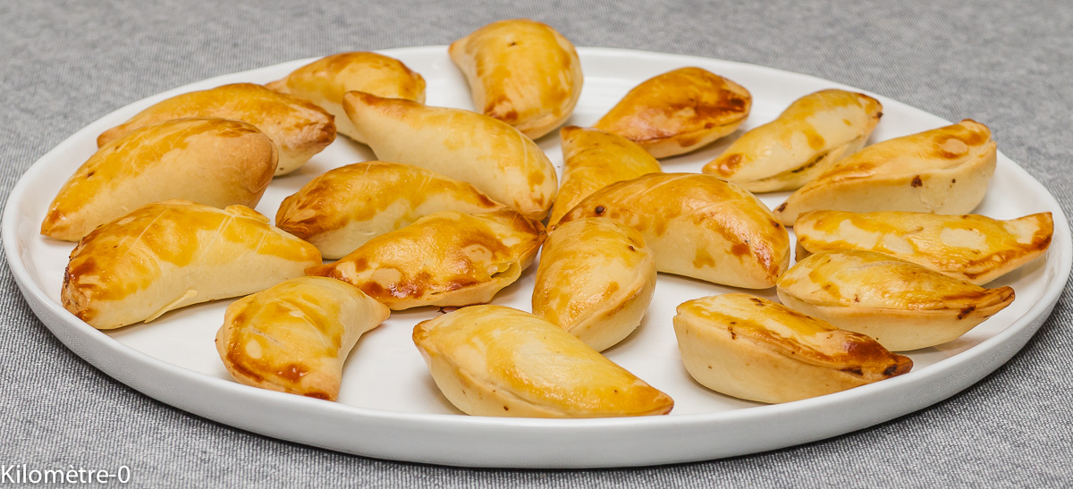 Photo de recette de pirojkis, cuisine russe, facile, léger, bio, économique, chausson, Kilomètre-0, blog de cuisine réalisée à partir de produits locaux et issus de circuits courts