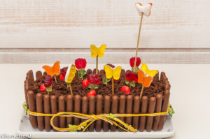 Photo de recette de jardinière au chocolat, gâteau, anniversaire, printemps, été, Pâques, facile, fête, fleurs, beau, Kilomètre-0, blog de cuisine réalisée à partir de produits locaux et issus de circuits courts