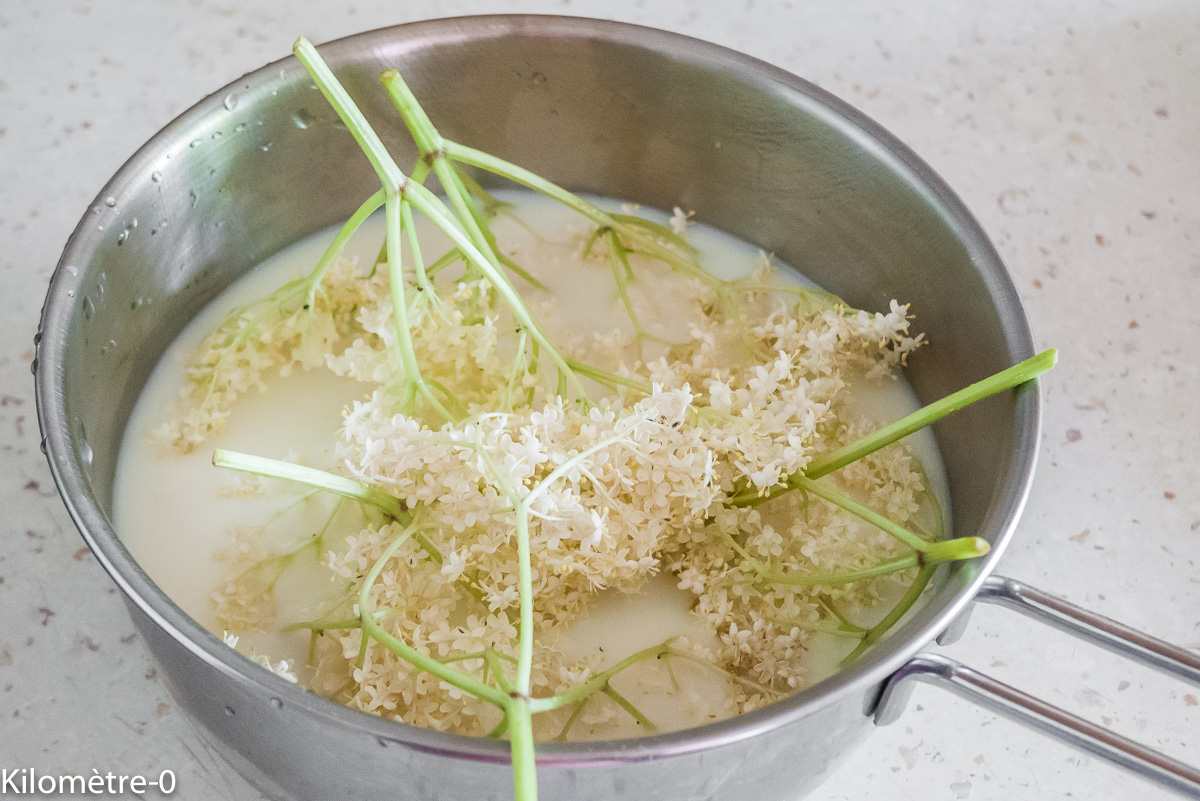 Photo de recette de fleurs de sureau, lait de Kilomètre-0, blog de cuisine réalisée à partir de produits locaux et issus de circuits courts