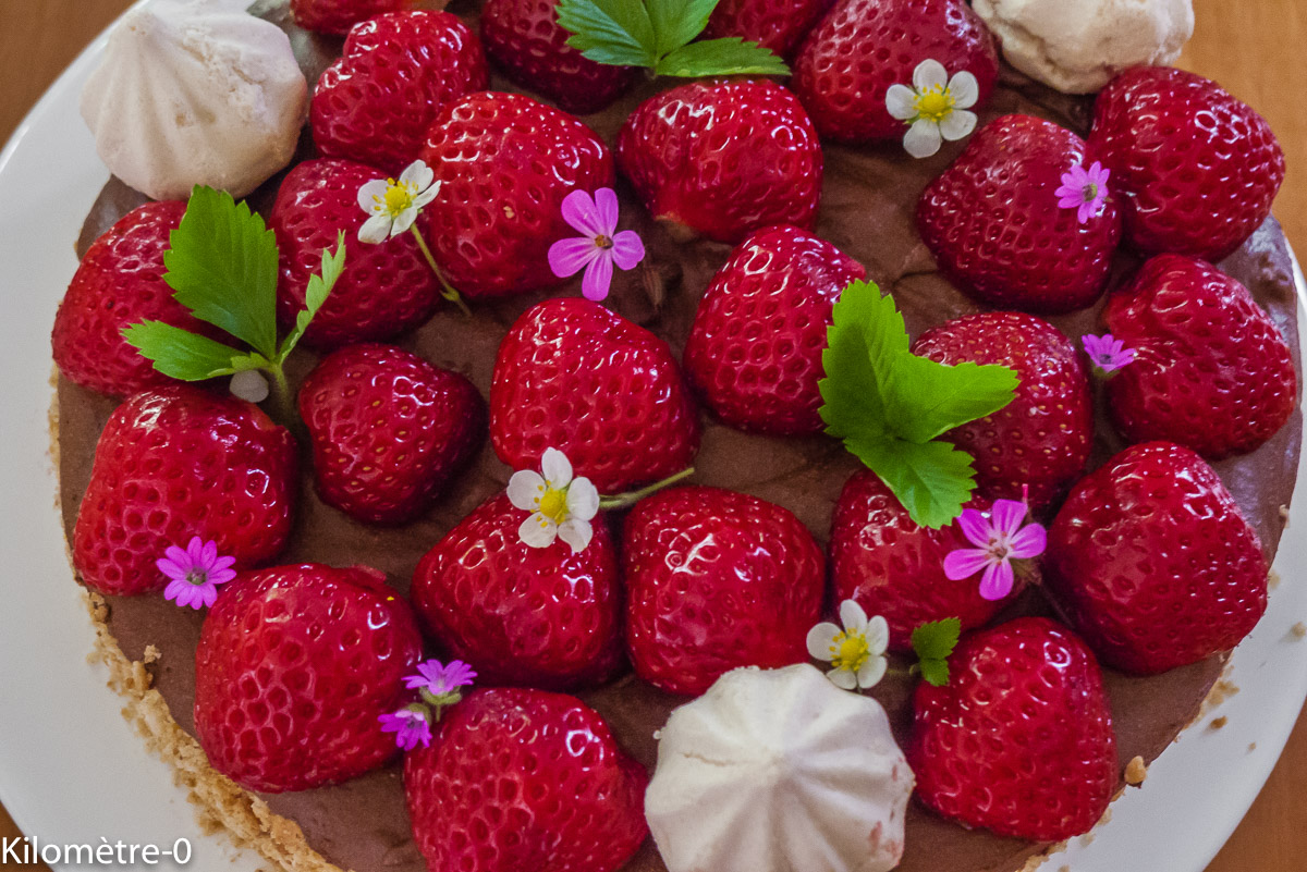 Photo de recette de tarte aux fraises, facile, rapide, léger, chocolat de Kilomètre-0, blog de cuisine réalisée à partir de produits locaux et issus de circuits courts