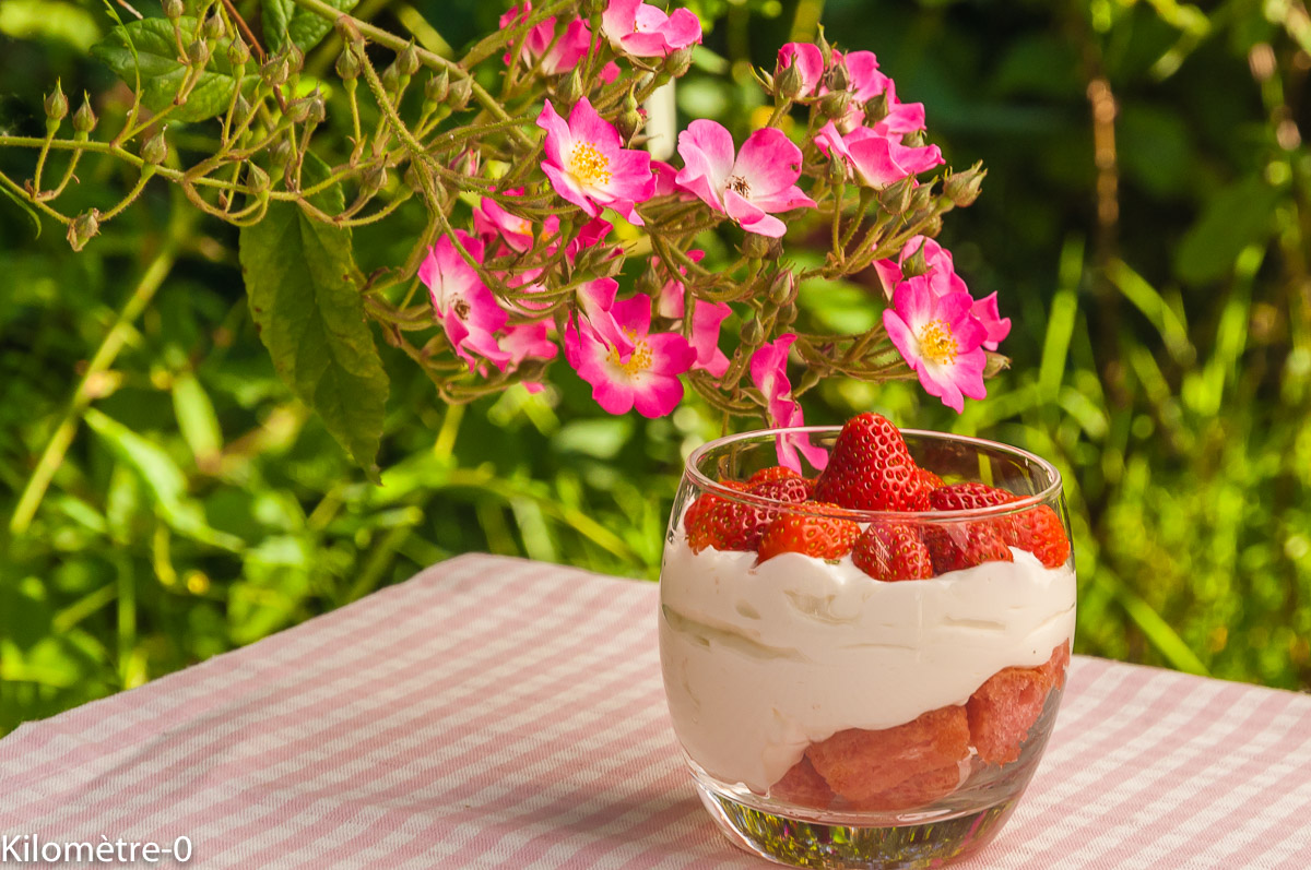 Photo de recette de verine de fraises, facile, rapide, charlotte, fruit rouge Kilomètre-0, blog de cuisine réalisée à partir de produits locaux et issus de circuits courts