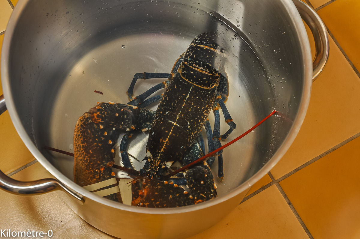 Photo de recette de homard facile de Kilomètre-0, blog de cuisine réalisée à partir de produits locaux et issus de circuits courts