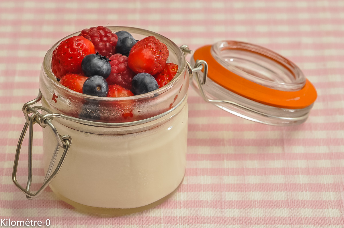 Panna Cotta à Lagar Agar Et Aux Fruits Rouges