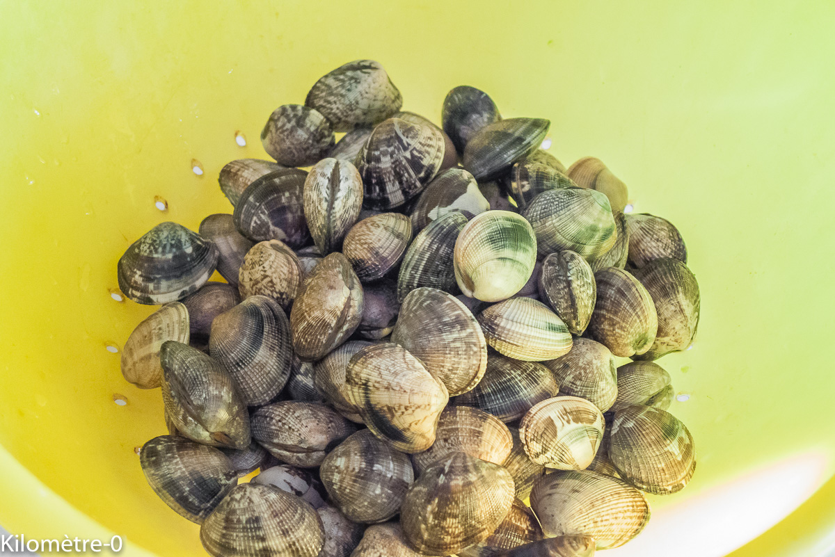 Photo de recette de palourde de Kilomètre-0, blog de cuisine réalisée à partir de produits locaux et issus de circuits courts