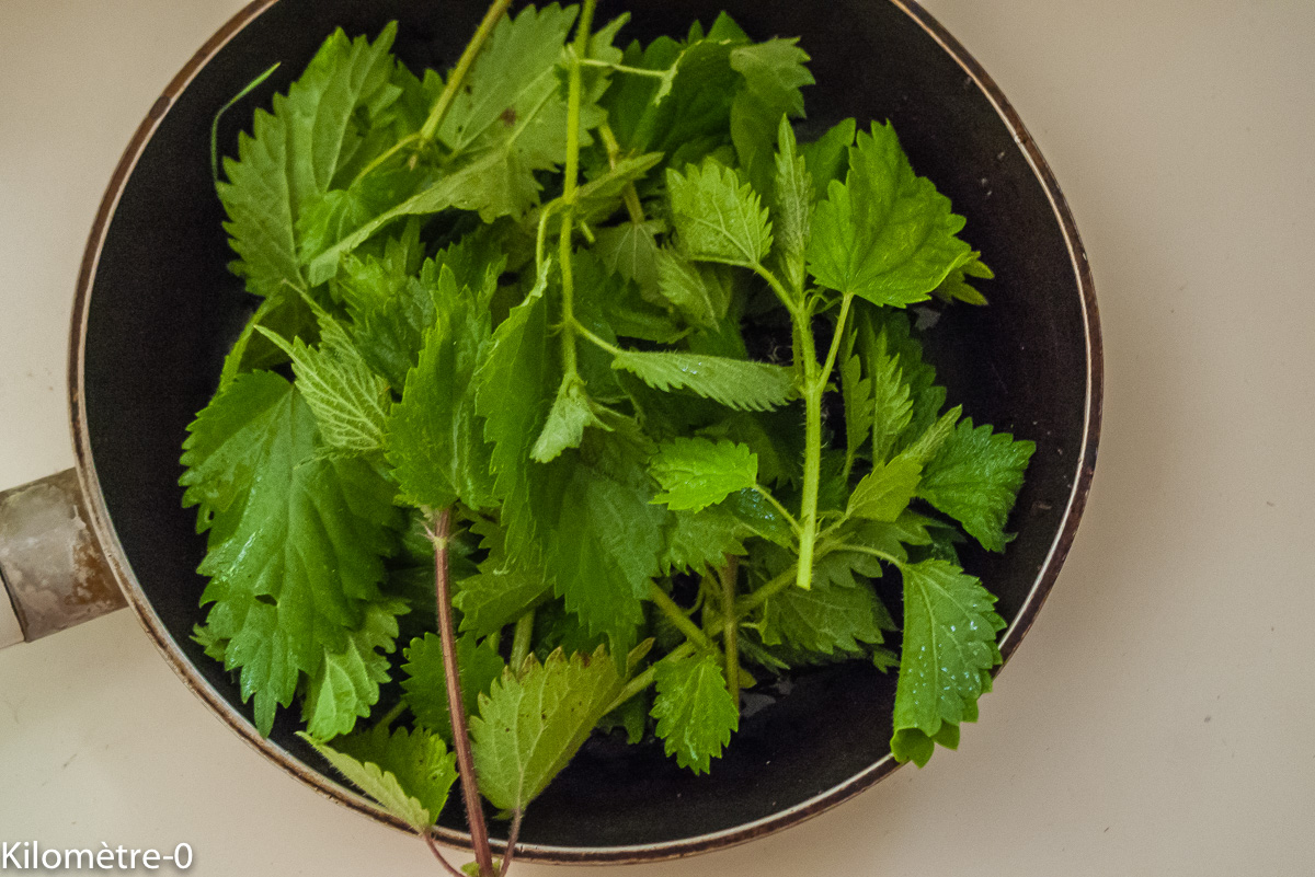 Photo de recette d'orties, facile, de Kilomètre-0, blog de cuisine réalisée à partir de produits locaux et issus de circuits courts
