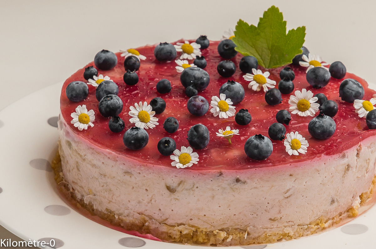 Photo de recette de cheesecake, frambise, rhubarbe, facile, léger de Kilomètre-0, blog de cuisine réalisée à partir de produits locaux et issus de circuits courts