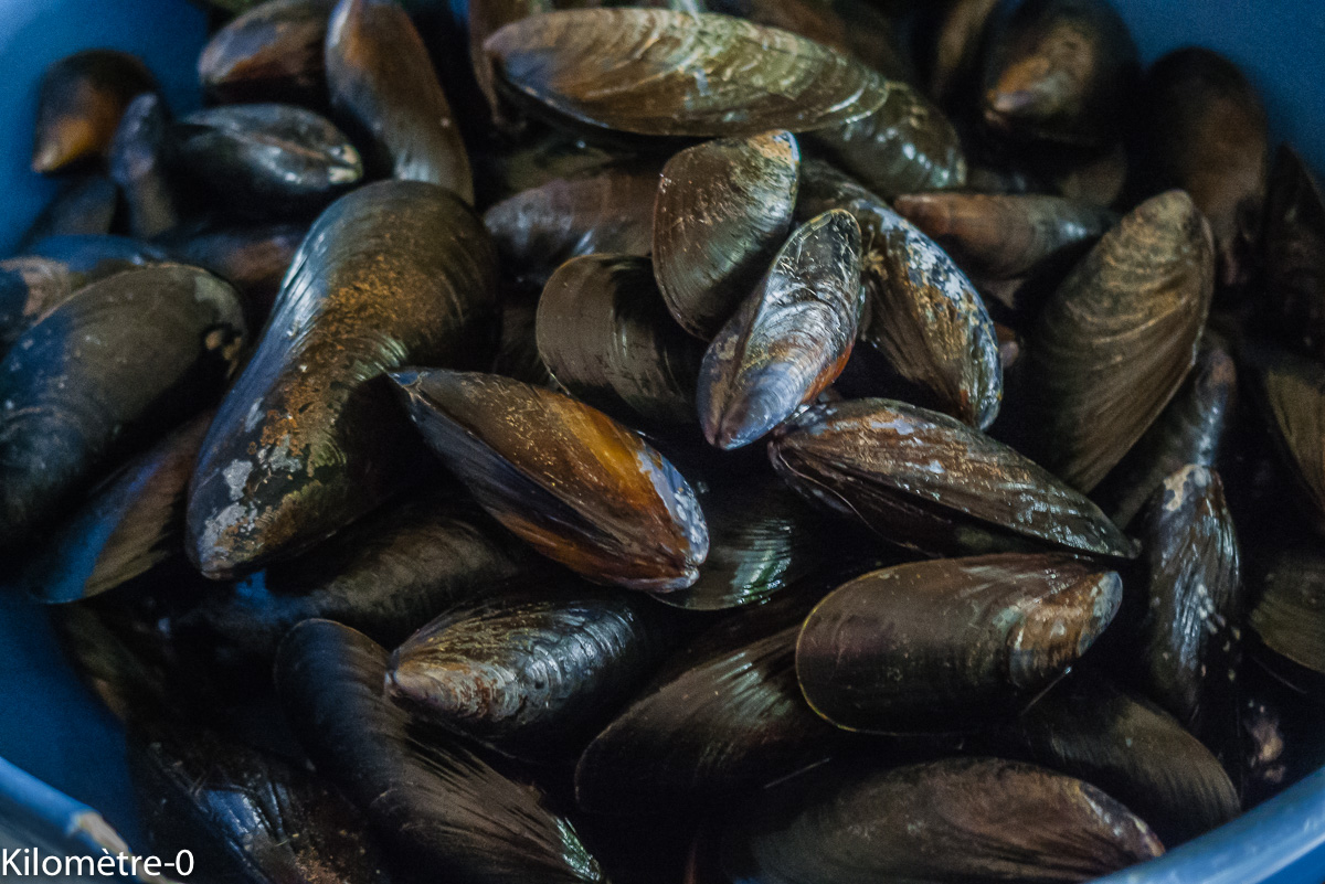 Photo de recette de moules, facile, Kilomètre-0, blog de cuisine réalisée à partir de produits locaux et issus de circuits courts