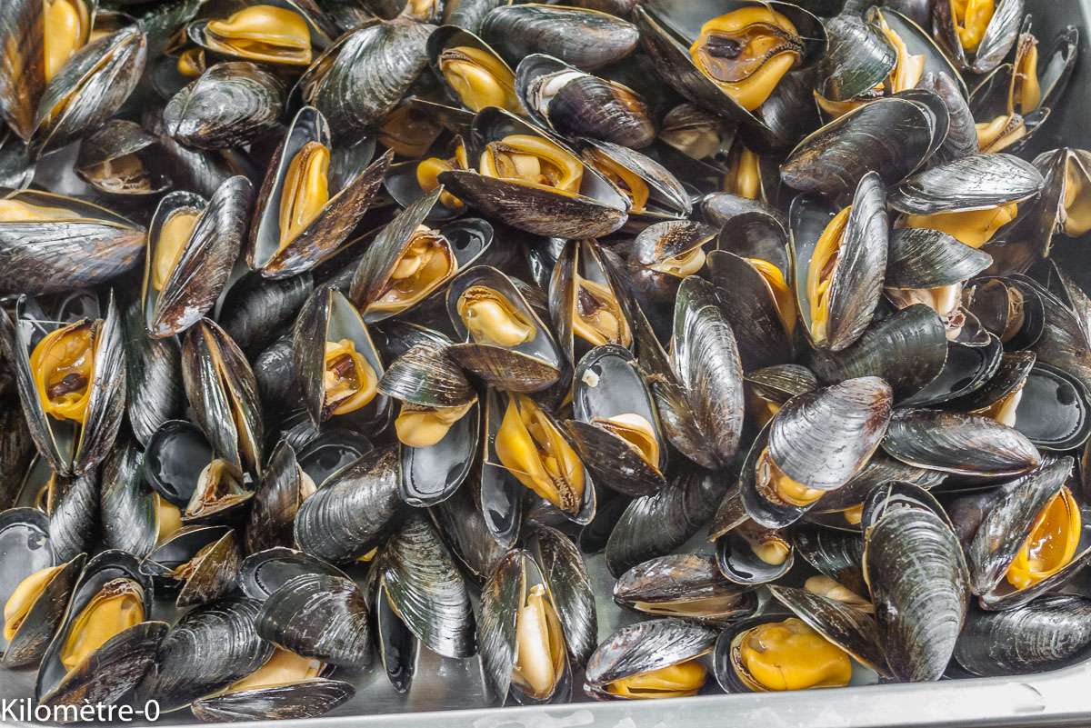 Photo de recette de moules, four vapeur, de Kilomètre-0, blog de cuisine réalisée à partir de produits locaux et issus de circuits courts