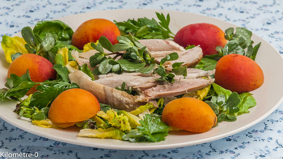 Photo de recette de salade, poulet, abricot, herbes, facile, été, rapide, de Kilomètre-0, blog de cuisine réalisée à partir de produits locaux et issus de circuits courts