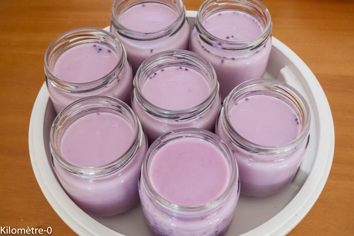 Photo de recette de yaourt, mûres, bio de Kilomètre-0, blog de cuisine réalisée à partir de produits locaux et issus de circuits courts