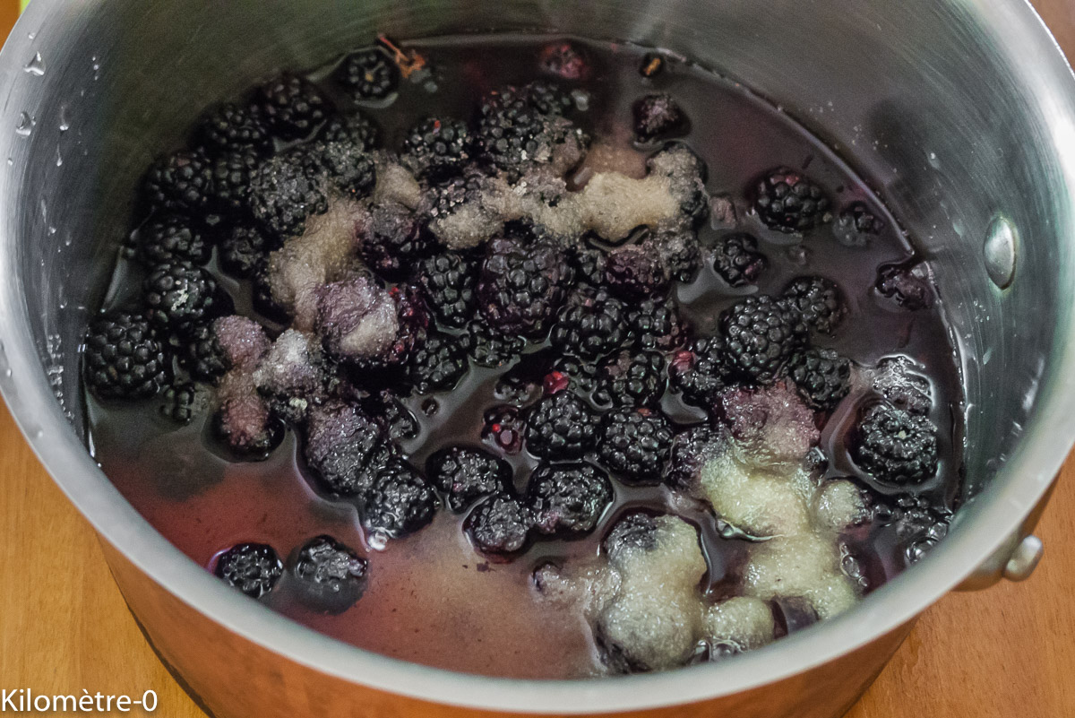 Photo de recette de sorbet aux mûres de Kilomètre-0, blog de cuisine réalisée à partir de produits locaux et issus de circuits courts