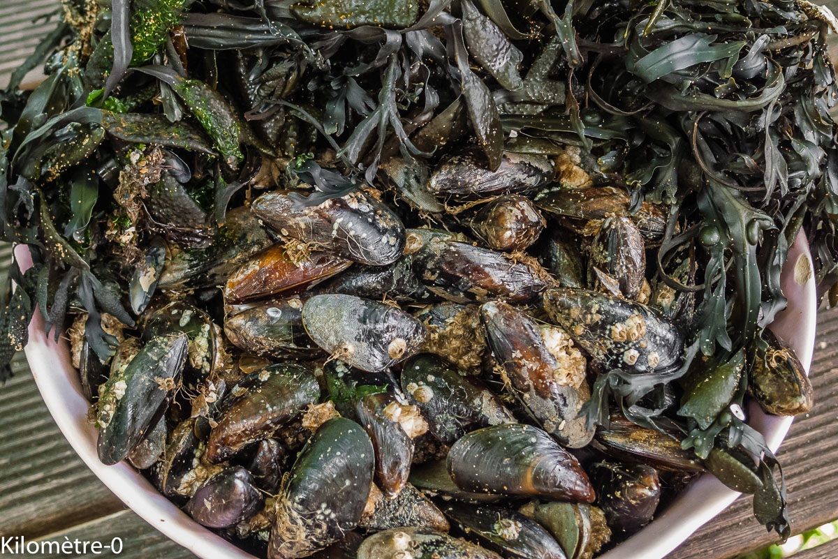 Photo de recette de moules de Kilomètre-0, blog de cuisine réalisée à partir de produits locaux et issus de circuits courts