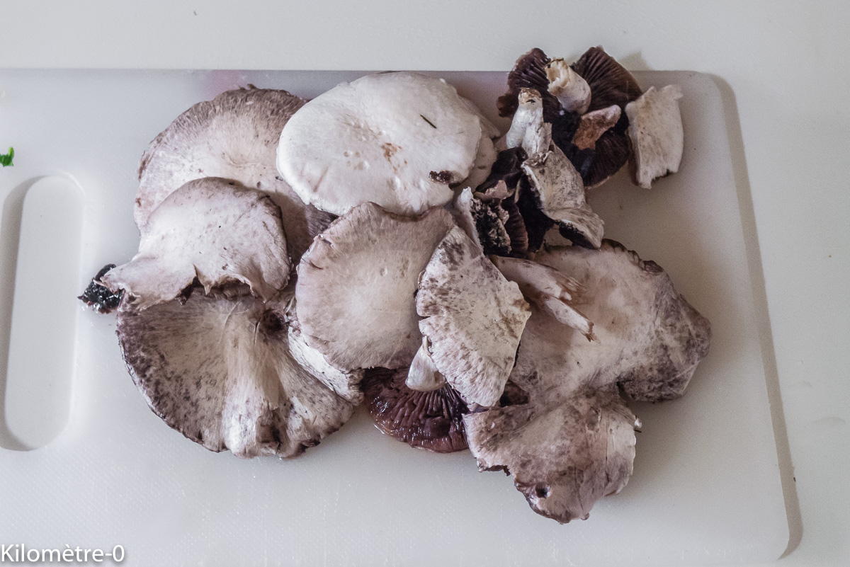 Photo de recette de champignons, petits roses de Kilomètre-0, blog de cuisine réalisée à partir de produits locaux et issus de circuits courts
