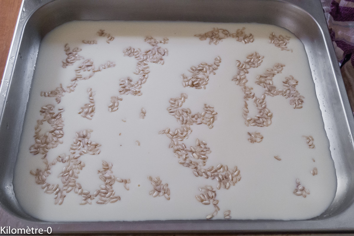 Photo de recette de riz au lait, four vapeur de Kilomètre-0, blog de cuisine réalisée à partir de produits locaux et issus de circuits courts