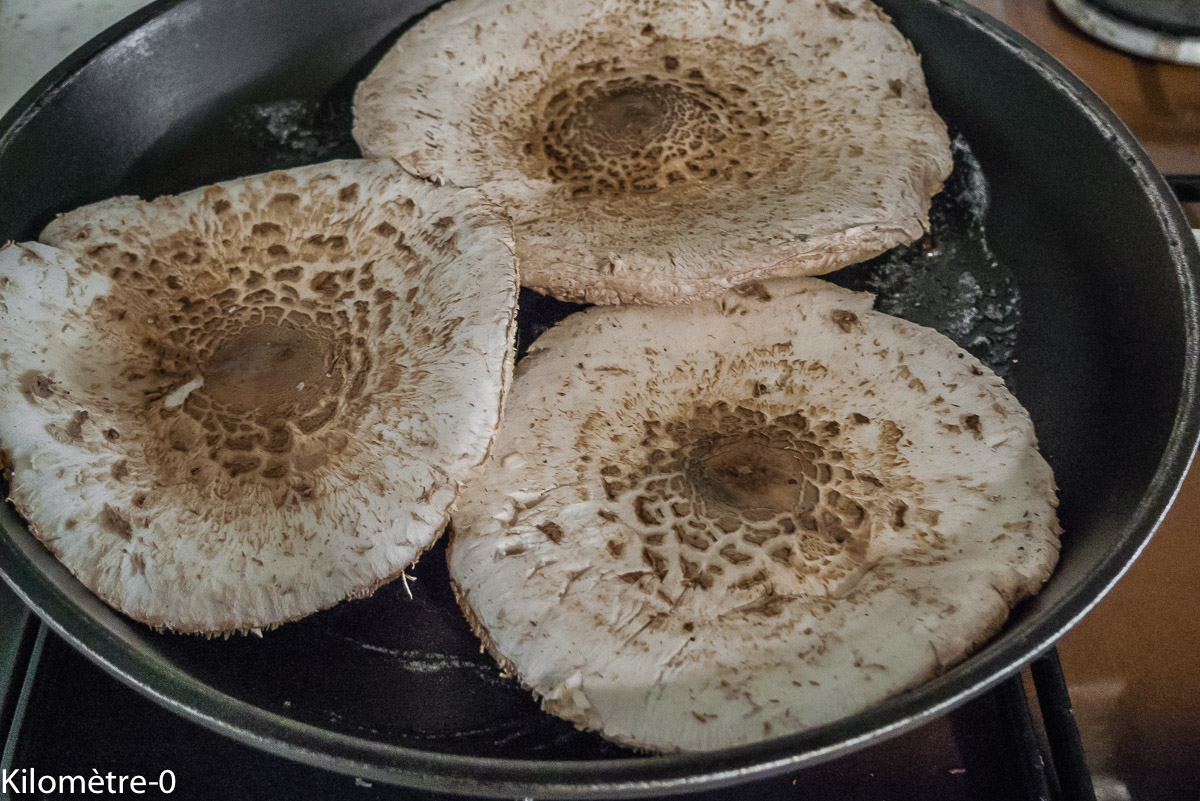 Photo de recette de coulemelles de Kilomètre-0, blog de cuisine réalisée à partir de produits locaux et issus de circuits courts