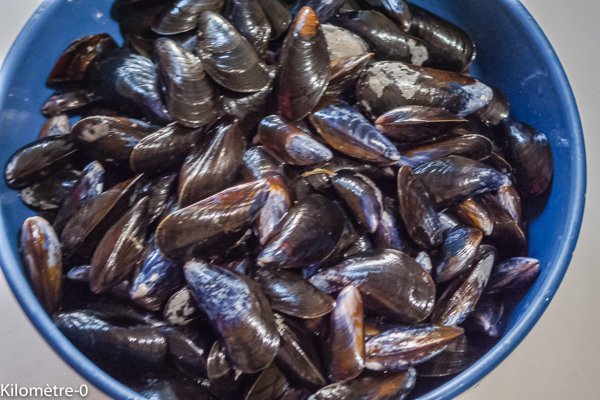 Photo de recette de moules de Kilomètre-0, blog de cuisine réalisée à partir de produits locaux et issus de circuits courts