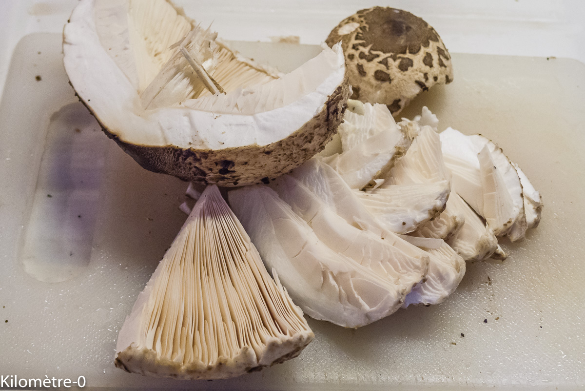 Photo de recette de coulemelles, lépiote, champignons de Kilomètre-0, blog de cuisine réalisée à partir de produits locaux et issus de circuits courts
