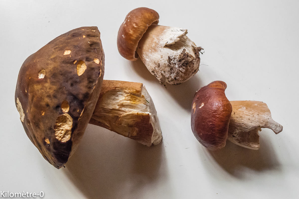 Photo de recette de cèpes de Kilomètre-0, blog de cuisine réalisée à partir de produits locaux et issus de circuits courts