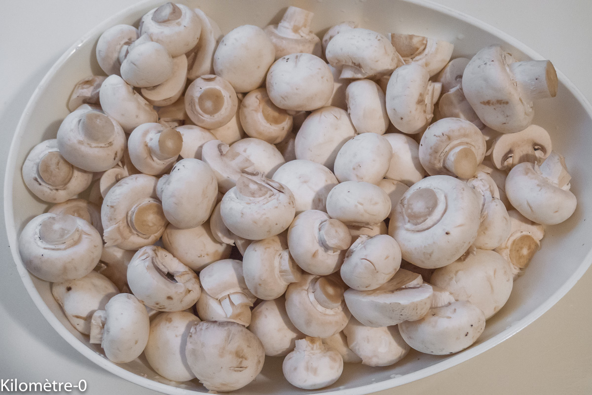 Photo de recette de champigons de souche de Kilomètre-0, blog de cuisine réalisée à partir de produits locaux et issus de circuits courts