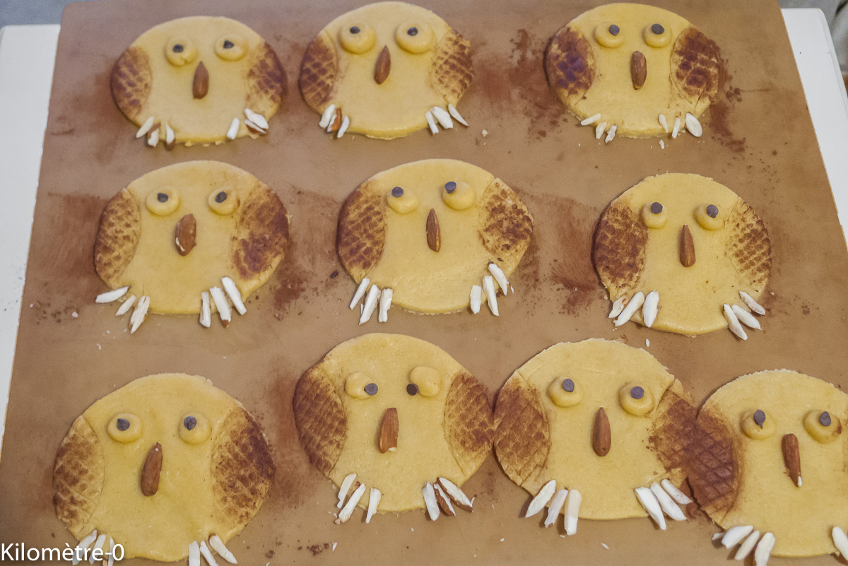 Photo de recette de chouettes, gâteaux , technique, enfant, Kilomètre-0, blog de cuisine réalisée à partir de produits locaux et issus de circuits courts