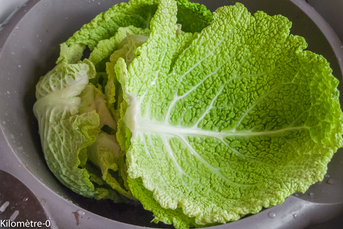 Photo de recette de chou frisé bio de Kilomètre-0, blog de cuisine réalisée à partir de produits locaux et issus de circuits courts