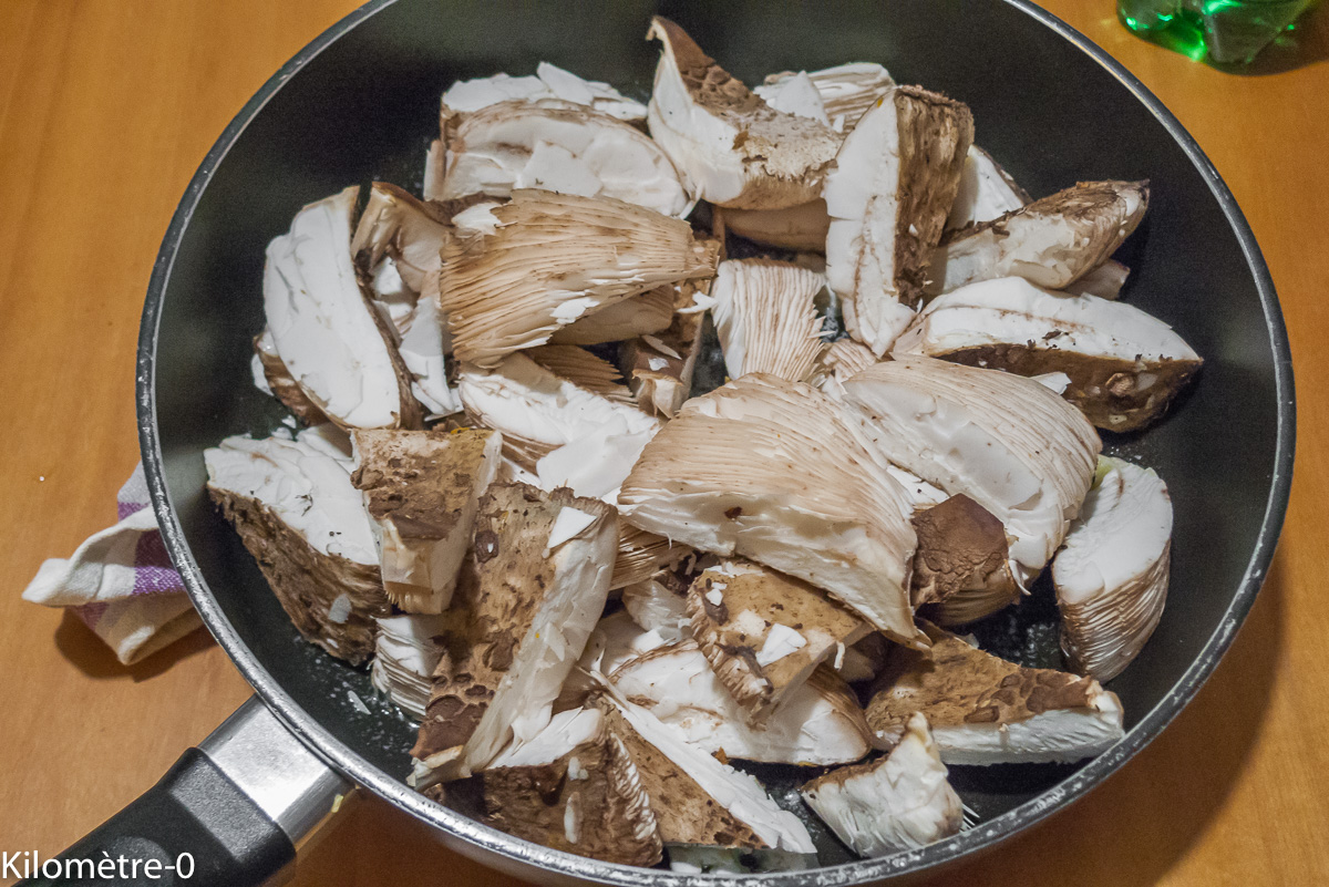 Photo de recette de coulemelles, lépiote, champignons de Kilomètre-0, blog de cuisine réalisée à partir de produits locaux et issus de circuits courts