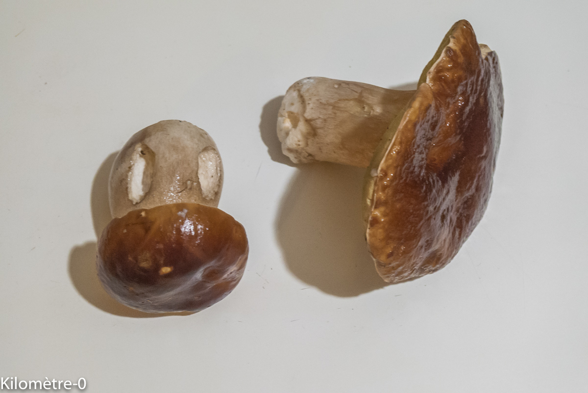 Photo de recette de Kilomètre-0, blog de cuisine réalisée à partir de produits locaux et issus de circuits courts