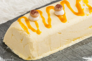 Photo de recette de bûche glacée au citron, coulis de mangue, bio de Kilomètre-0, blog de cuisine réalisée à partir de produits locaux et issus de circuits courts