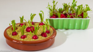 Photo de recette d'apéro facile, rapide, léger, radis, original, drole de Kilomètre-0, blog de cuisine réalisée à partir de produits locaux et issus de circuits courts