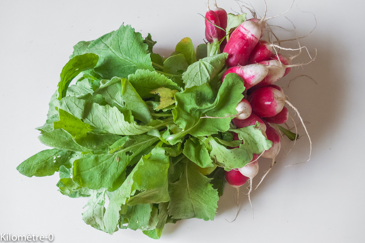 Photo de recette de radis bio facile, rapide de Kilomètre-0, blog de cuisine réalisée à partir de produits locaux et issus de circuits courts