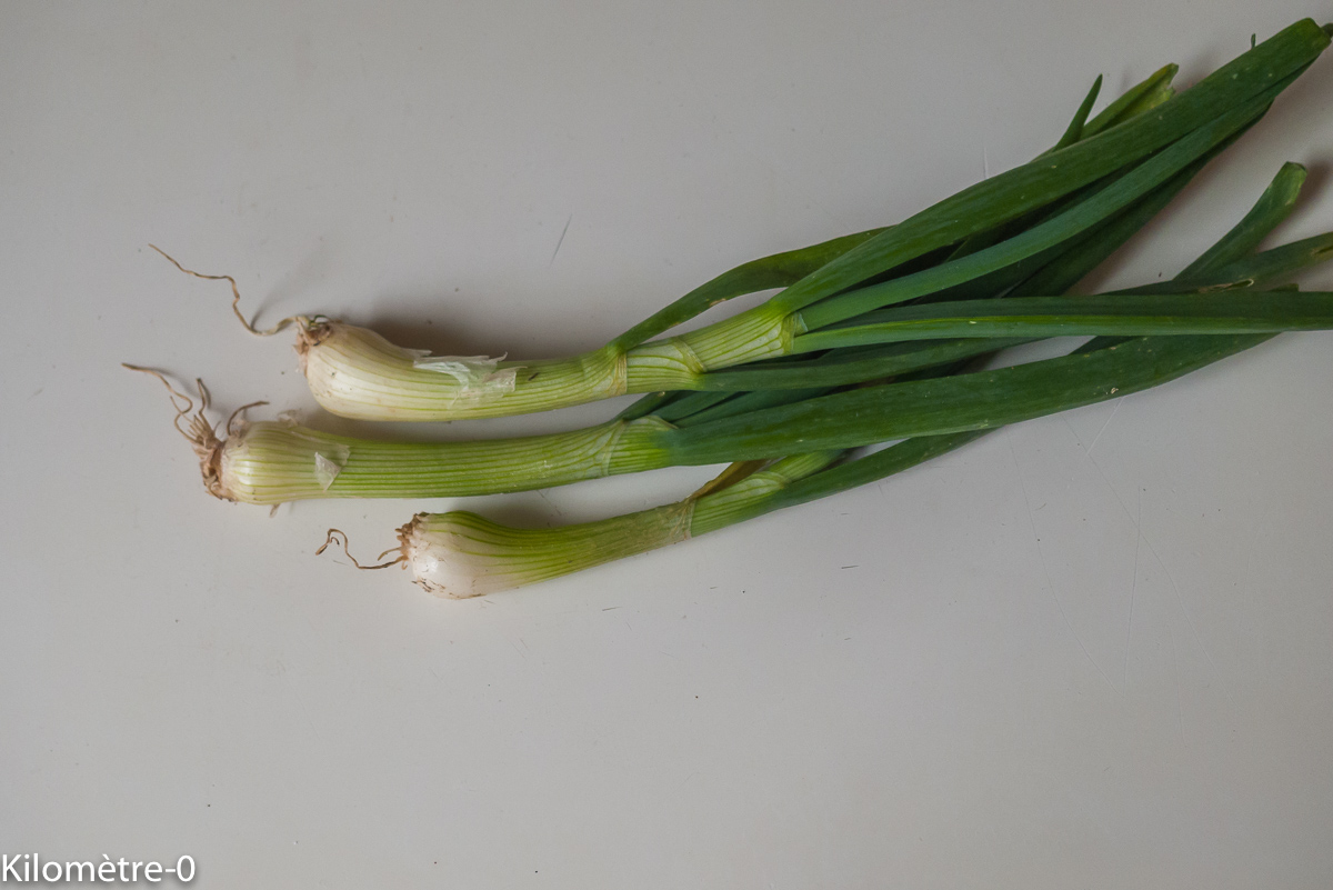 Photo de recette d'oignons nouveaux de Kilomètre-0, blog de cuisine réalisée à partir de produits locaux et issus de circuits courts