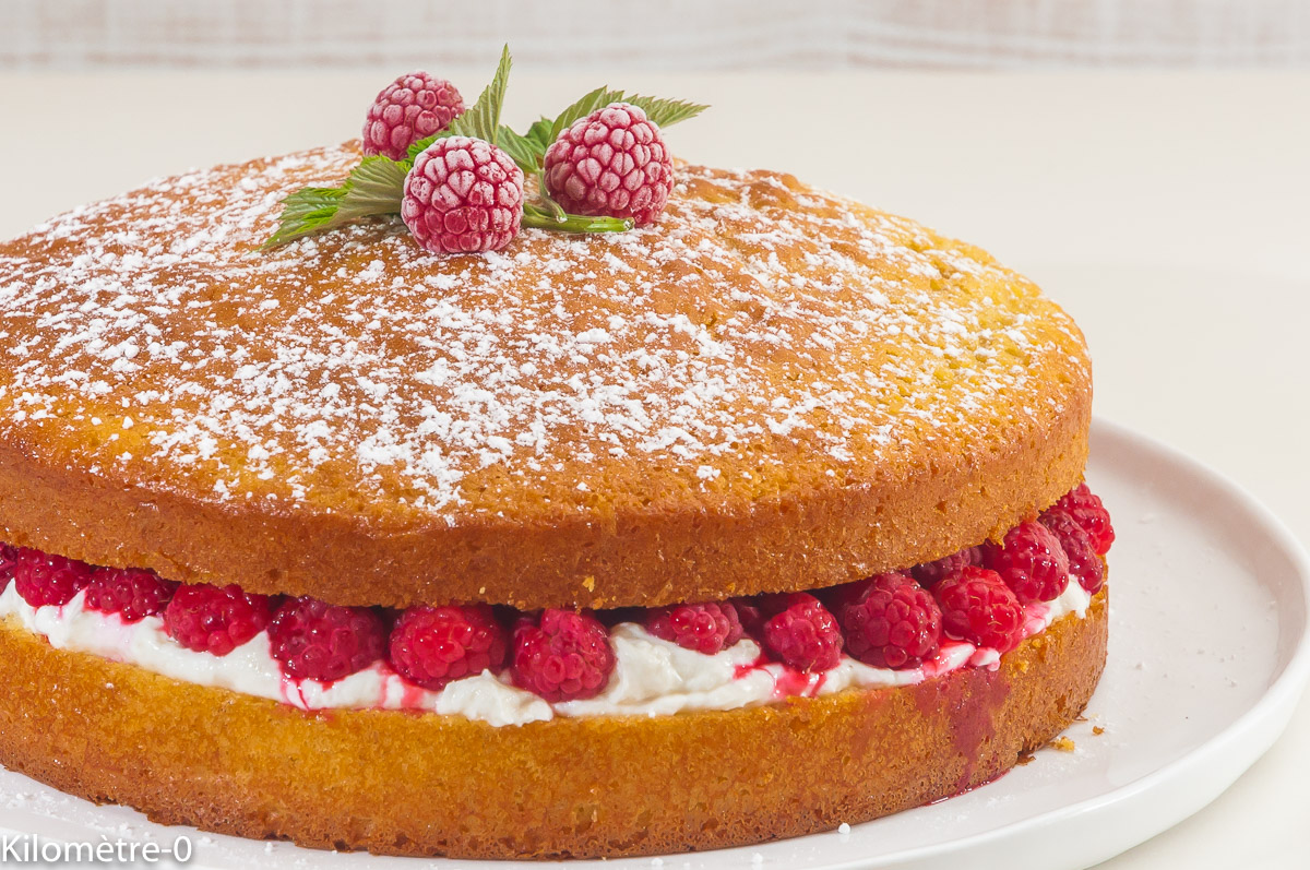 Gâteau Rapide Framboises Ricotta