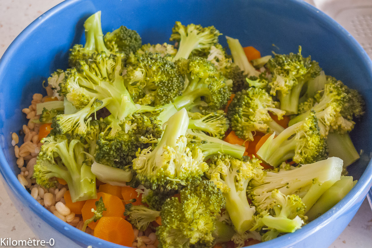 Photo de recette de salade healthy, bio de Kilomètre-0, blog de cuisine réalisée à partir de produits locaux et issus de circuits courts