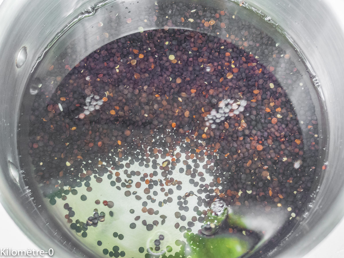 Photo de recette de lentilles beluga facile, rapide, légère de Kilomètre-0, blog de cuisine réalisée à partir de produits locaux et issus de circuits courts