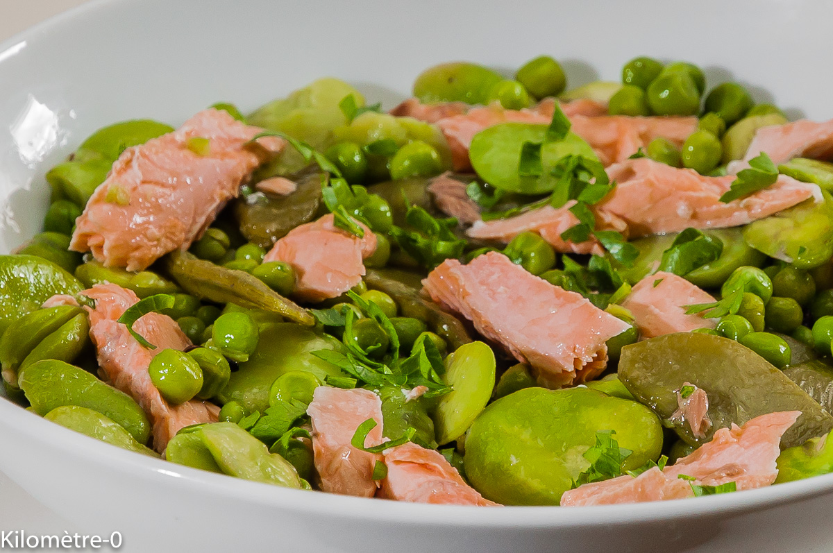 Photo de recette de salade de saumon, fèves, petits pois, pois gourmands, facile, rapide, légère de Kilomètre-0, blog de cuisine réalisée à partir de produits locaux et issus de circuits courts