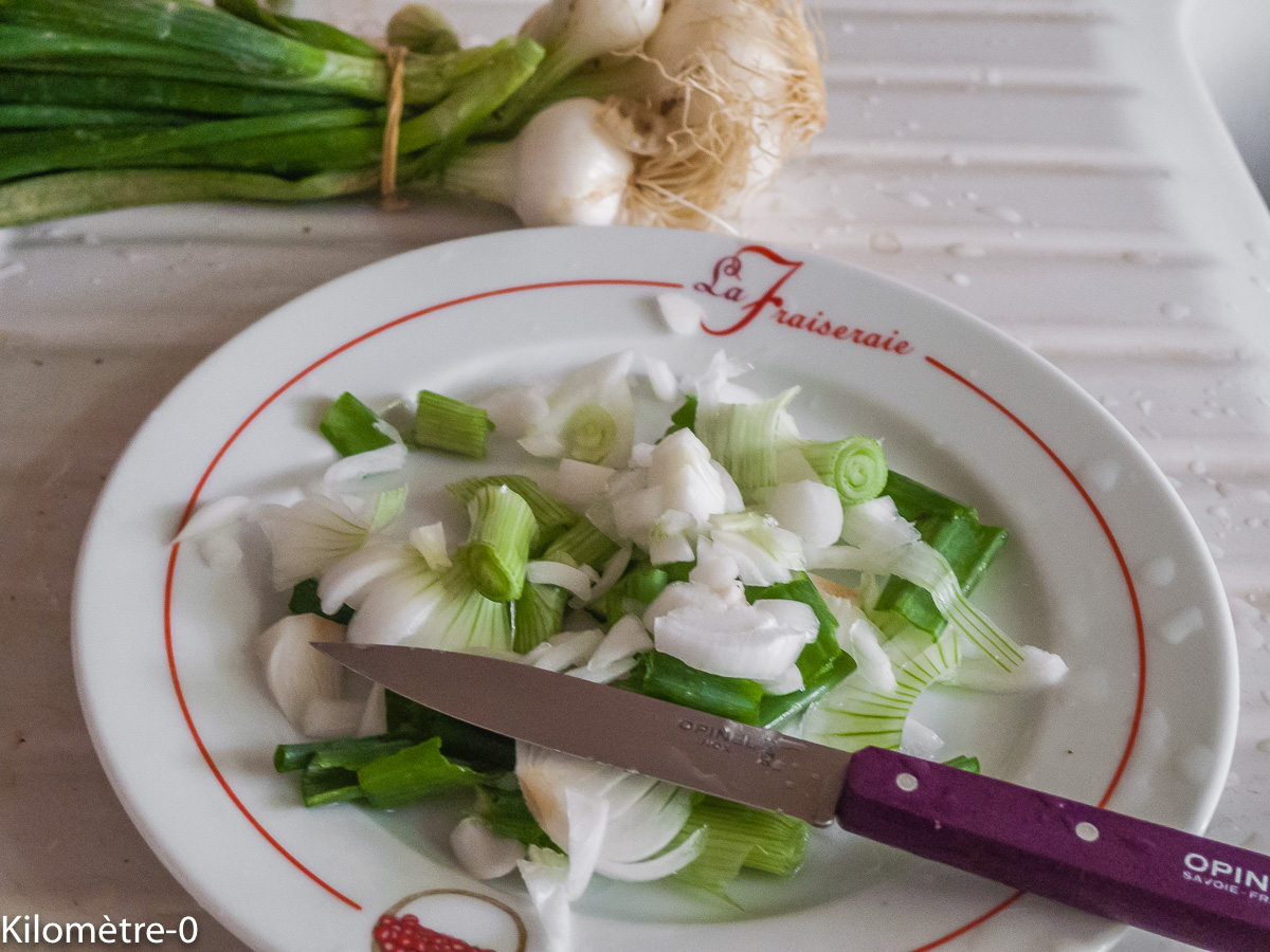 Photo de recette d'oignons nouveaux de Kilomètre-0, blog de cuisine réalisée à partir de produits locaux et issus de circuits courts